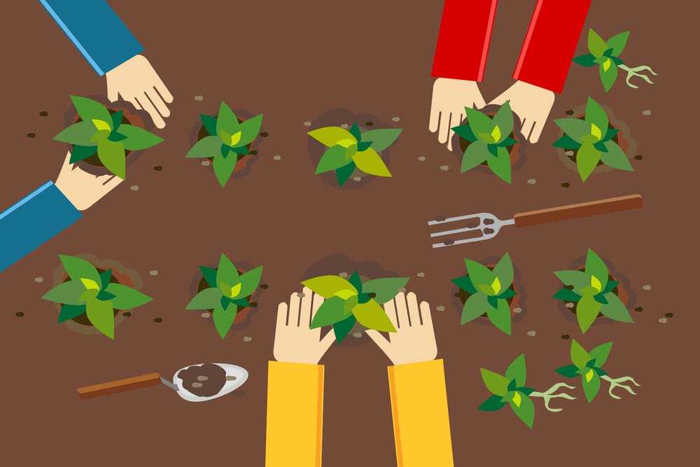 agricultores cultivando na lavoura protegidos com o seguro agrícola de lavoura