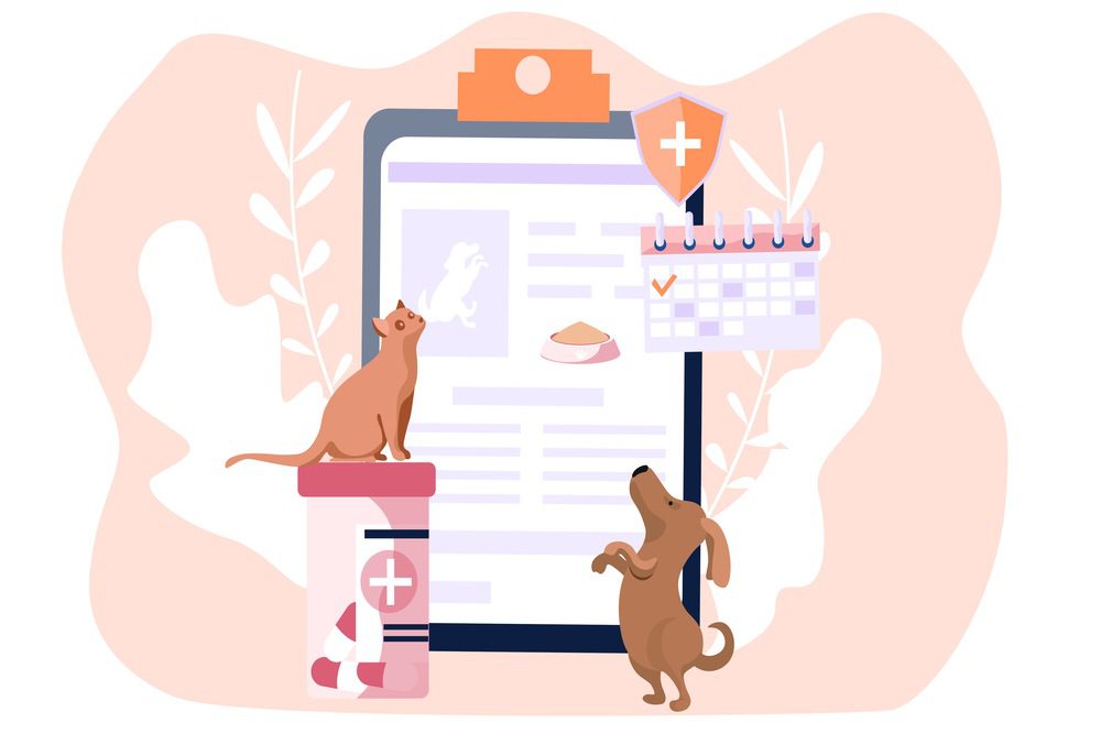 Seguro para pet ou plano pet: o que é, importância e dicas